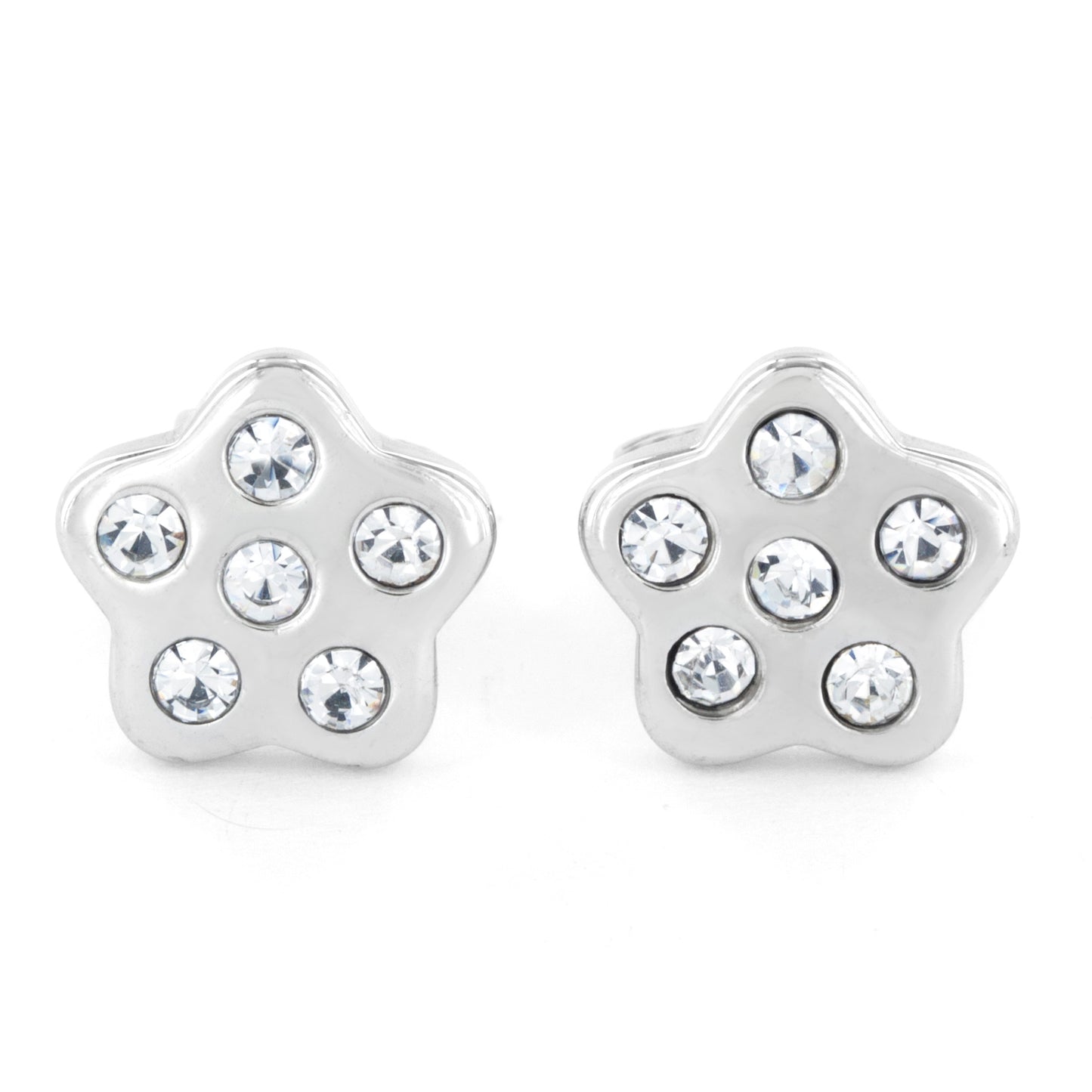 Women's Cubic Zirconia Flower Stud Stainless Steel Earrings
